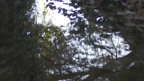Reflections in slow motion 02 Stock Footage 220742940