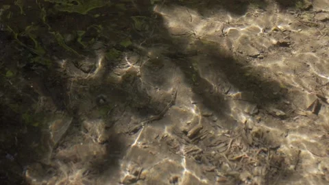 Reflections in slow motion 04 Stock Footage 220742915