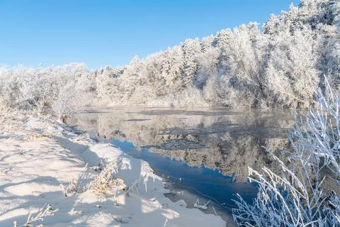 Reflections of snow covered trees in the River Teviot, Scottish Borders Stock Photos