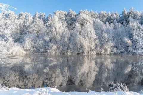 Reflections of snow covered trees in the River Teviot, Scottish Borders Stock-Fotos