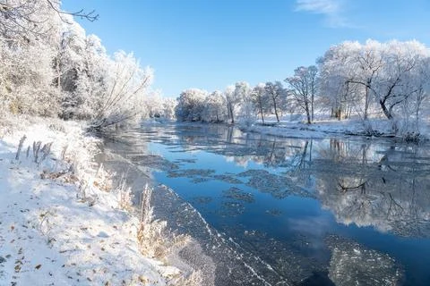 Reflections of snow covered trees in the River Teviot, Scottish Borders Stock-Fotos