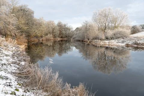 Reflections of snow covered trees in the River Teviot, Scottish Borders, UK Stock Photos