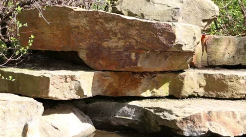 Reflections on a Stone wall Video stock 37722950