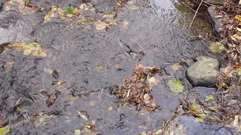 Reflections in a Stream Stock Footage 97836358