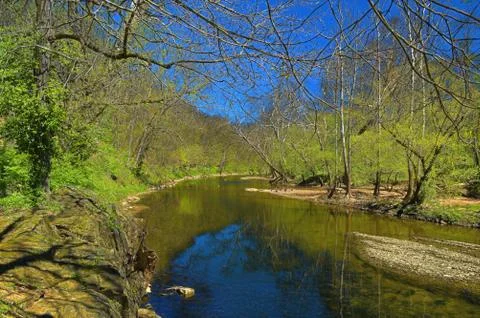 Reflections in a Stream Stock Photos