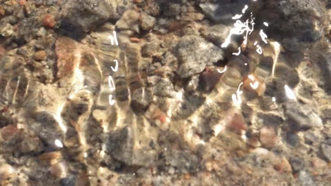 Reflections in Stream Water Stock Footage 107317633