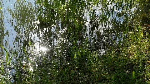 The reflections of the sun Stock Footage 91752357