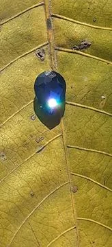 Reflections of Sun Rays on Blue Stone Foto stock