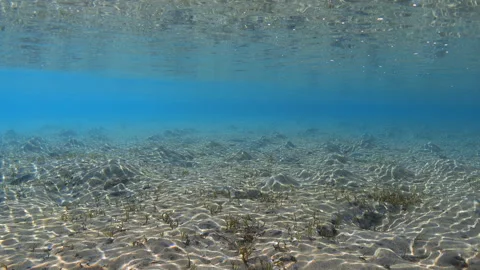 Reflections of sunlight on a sandy seabed, underwater landscape in shallow water Stock Footage 302500378