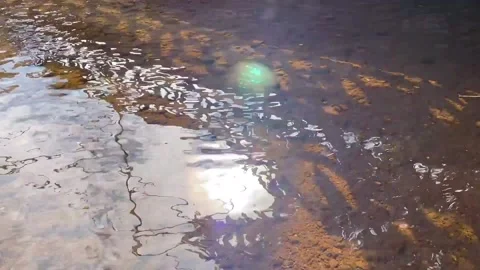 Reflections of sunlight in water Stock Footage 153780836