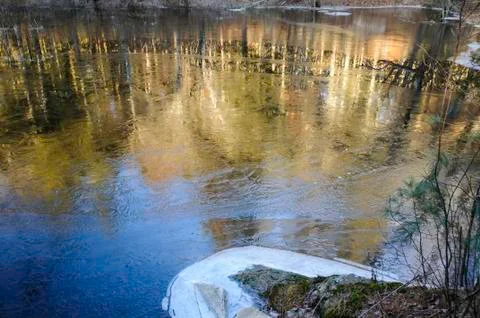Reflections sunlit trees Stock Photos