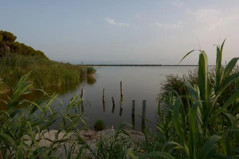 Reflections of the sunset in the lagoon Stock Photos