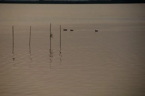 Reflections of the sunset in the lagoon Stock Photos