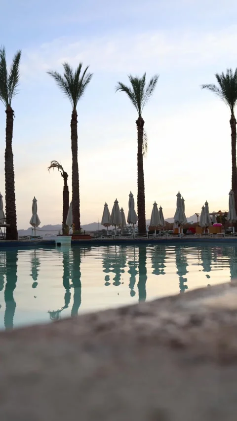 Reflections of tall palm trees and closed umbrellas ripple gently across a calm  Video stock 310056144
