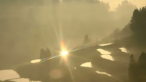 Reflections of the Terraced Rice Fields at Star Pass: Morning Mist and Rays of Stock Footage 330155489