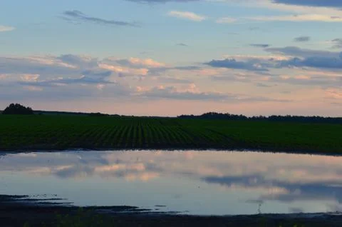 Reflections of a tranquil sunset over a flooded field in the countryside Stock Photos