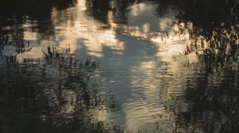 Reflections of tree+clouds on water Stock Footage 881711