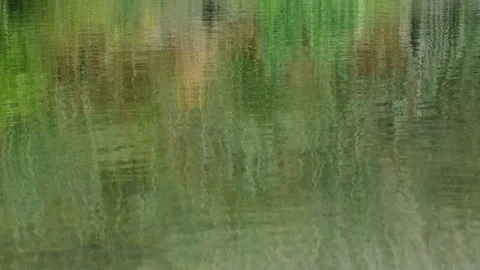Reflections of trees and nature on the surface of a calm river in summer. Stock Footage 113600803