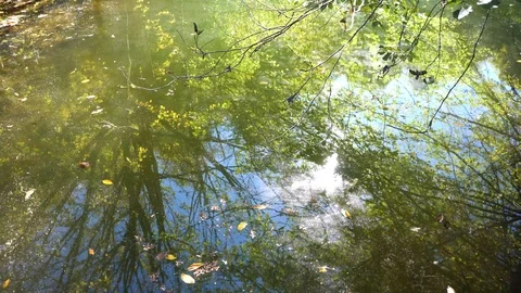 Reflections of trees and sky on tranquil lake Stock Footage 98484787