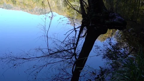 Reflections of trees and sky on tranquil lake Stock Footage 98502847