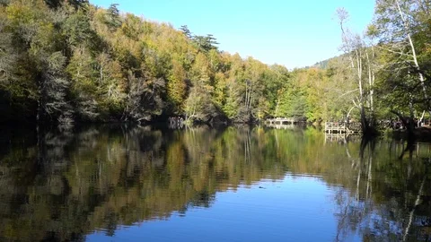 Reflections of trees and sky on tranquil lake Video stock 98507825