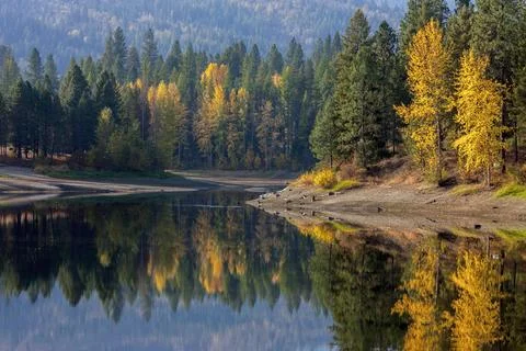 Reflections of trees in autumn. Stock Photos