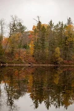Reflections of trees on the lake Stock Photos