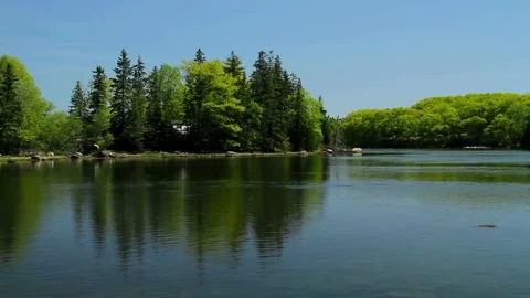 Reflections of trees shimmer on a tranquil lake in maine Stock Footage 312677453