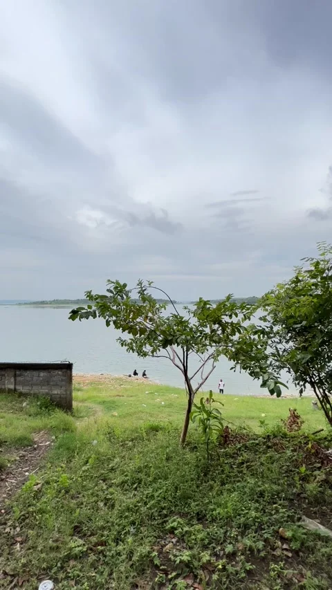 Reflections of Trees in the Tranquil Lake Stock Footage 233139533