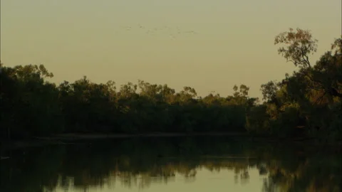 Reflections of trees in water Stock Footage 132294128