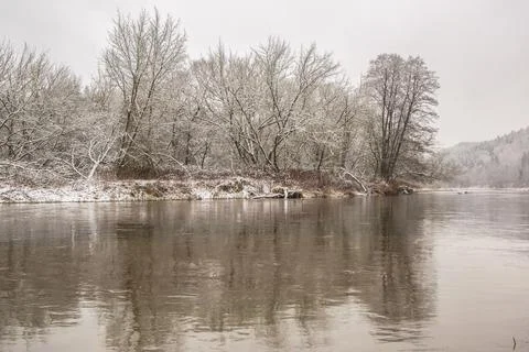 Reflections of trees in water Stock Photos