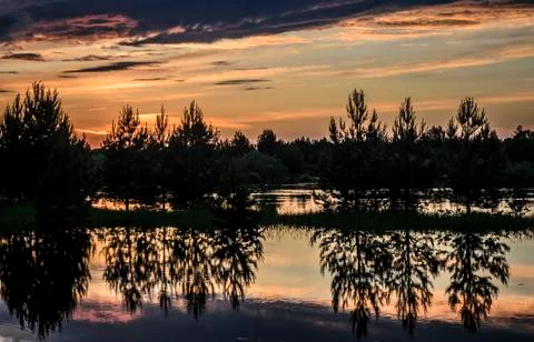 Reflections of trees in the water at sunset. Foto stock