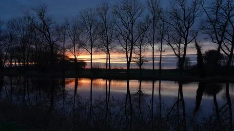 Reflections of trees in water at sunset Stock Photos