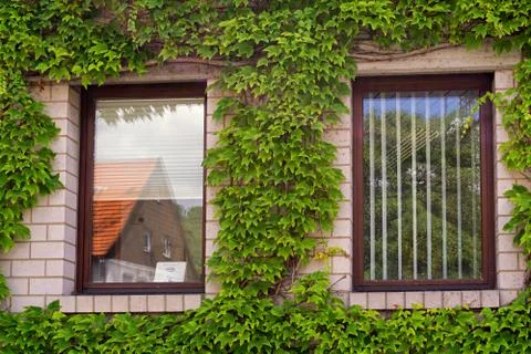 Reflections on two big windows,shot from a public place Foto stock