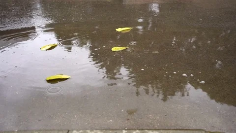 Reflections of a walking man in a puddle Stock Footage 116594859