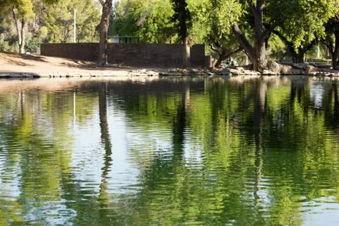 Reflections on the Water with Ducks Stock Photos