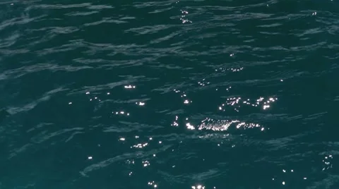 Reflections on Water Stock Footage 8507818