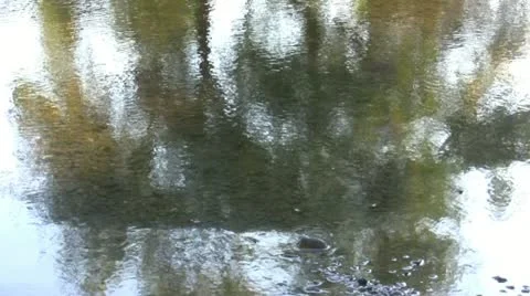 Reflections in the water Stock Footage 11242594