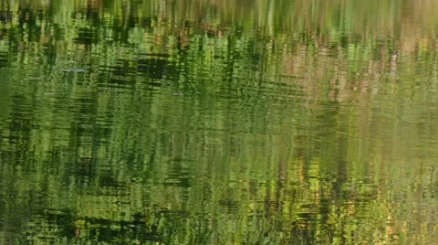 Reflections in the water 動画素材 56722735