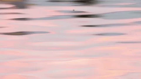 Reflections on water Stock Footage 80981318