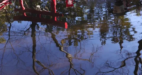 Reflections On Water Stock Footage 197944487