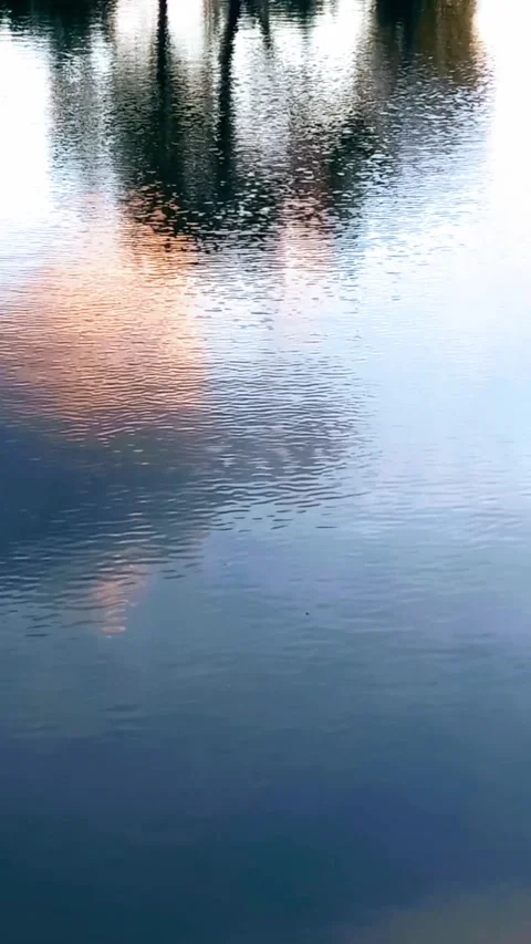 Reflections on the water Stock Footage 264485024