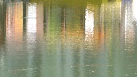 Reflections in the water, hazy abstract patterns. Stock Footage 255339365