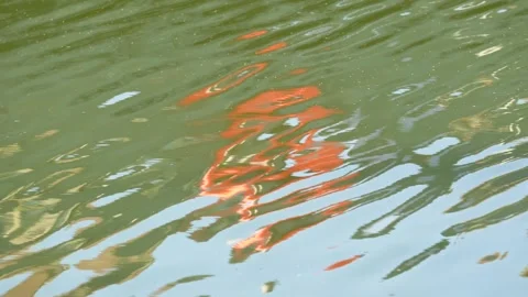 Reflections in the water, hazy abstract patterns. Stock Footage 255339469
