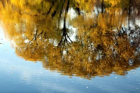 Reflections in the water Stock Photos