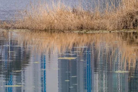 Reflections in water Foto stock