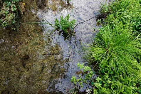 Reflections in water Stock Photos
