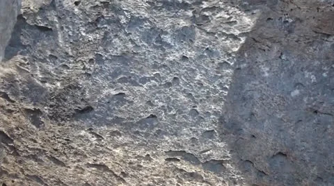 Reflections of water striders on rock Video stock 24466021