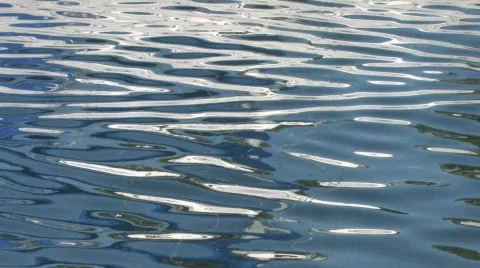 Reflections on the water surface 動画素材 448243