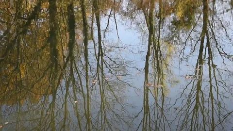 Reflections on the water surface Stock Footage 82619574